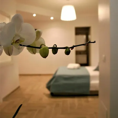 San Teodoro Al Palatino Rooms&loft